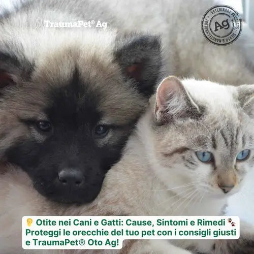 Otite del cane e del gatto si curano con i prodotti TraumaPet per animali sani e felici