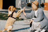 Il cane batte il cinque alla propria padrona con entrambe le zampe