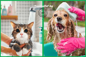Collage di due immagini che rappresentano un cane ed un gatto che utilizzano lo shampoo TraumaPet