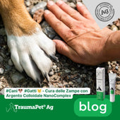 Zampa di un cane vicino alla mano di un uomo