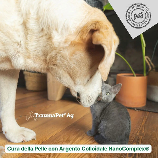 Gel per Ferite vs. Crema Lenitiva: La Guida Completa alla Cura della Pelle del Tuo Animale