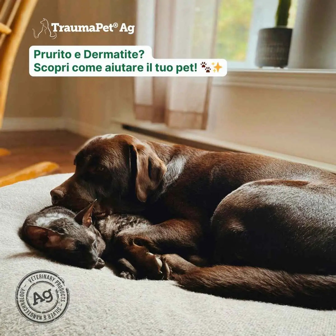 Prurito o dermatite? Come curarli e prevenirli con i prodotti TraumaPet