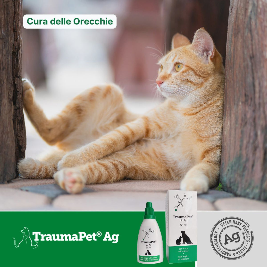 Gatto con confezione di TraumaPet Oto Ag per la cura delle orecchie con argento colloidale