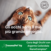 Gatto che mostra i suoi occhi blu. Gli occhi sono il mio grande orgoglio. Collirio TraumaPet Ophtal Ag.