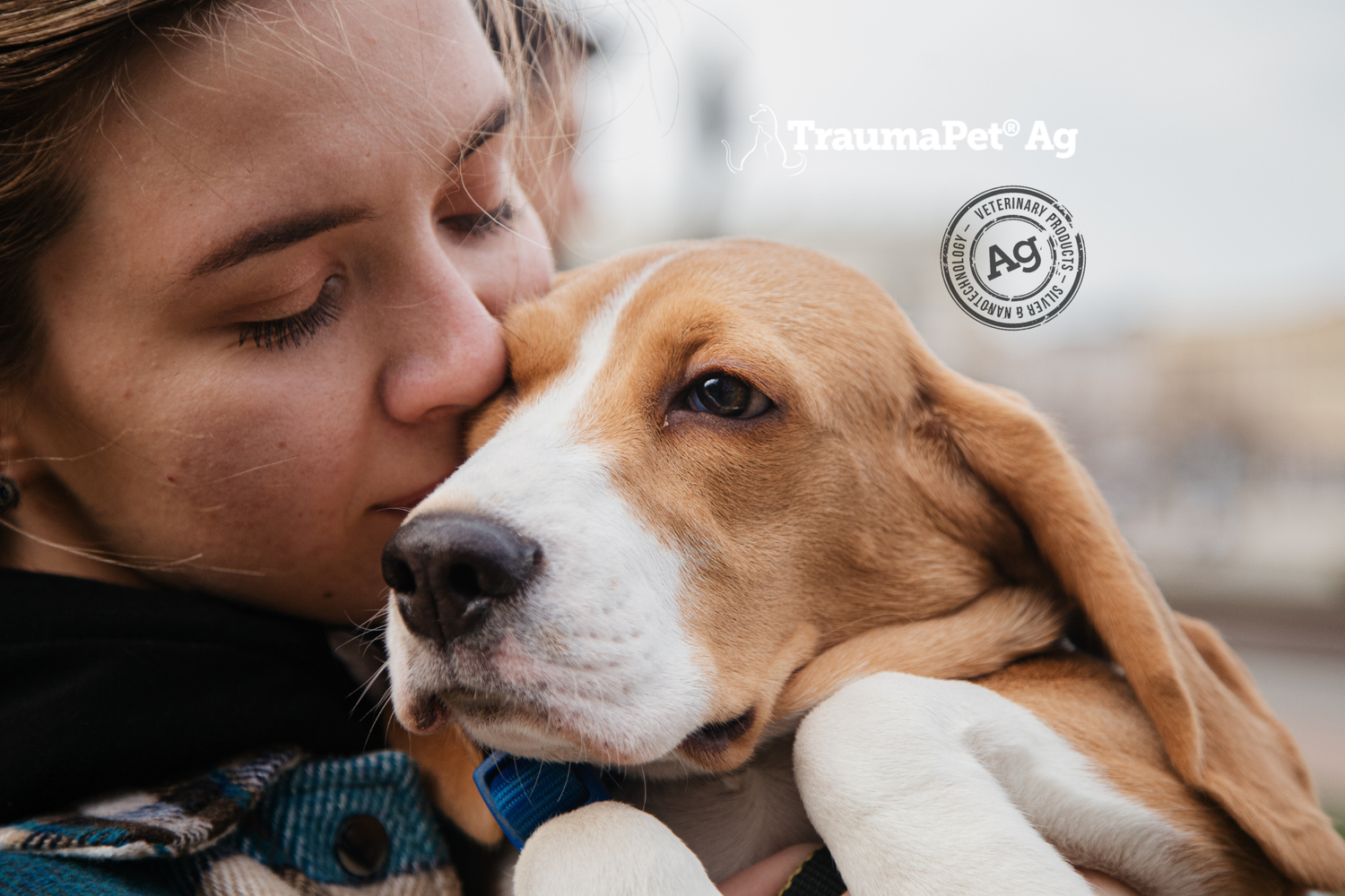 Un cagnolino che viene coccolato dalla sua padrona