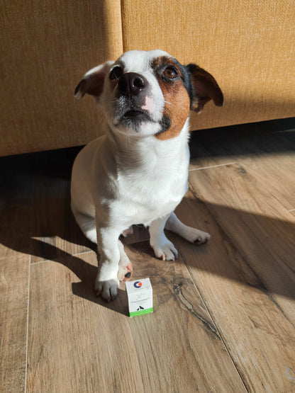 Cane con confezione di gel orale TraumaPet Oral Gel Ag