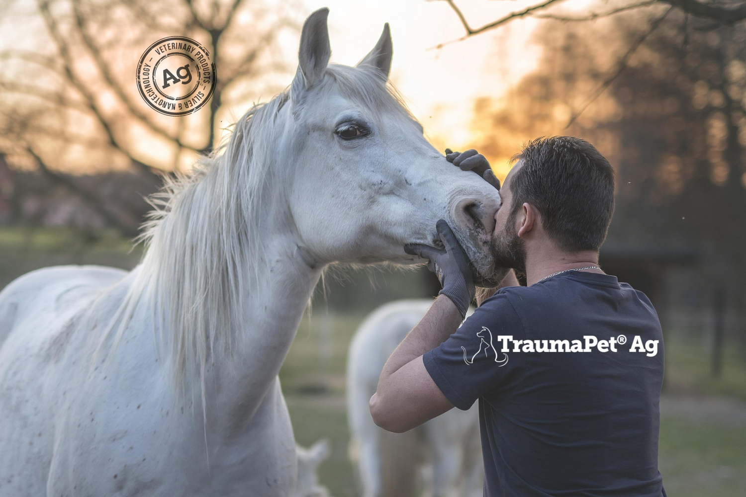 Padrone che bacia il muso del suo cavallo di cui si prende cura con amore e con TraumaPet