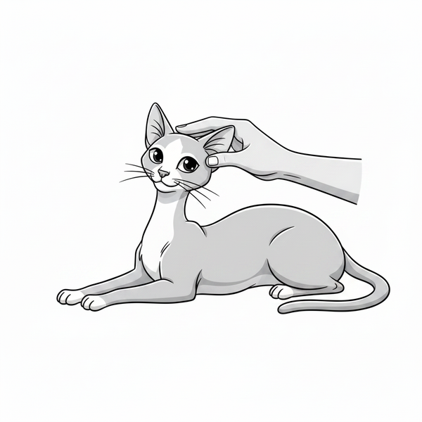 Premia il tuo animale