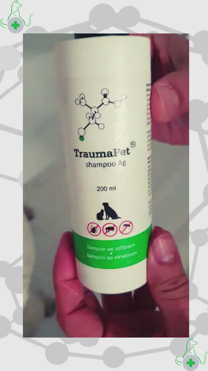Applicazione dello shampoo TraumaPet Ag