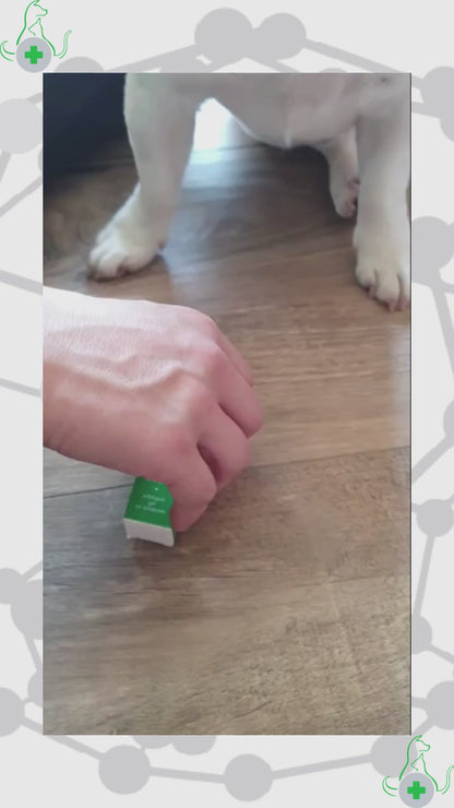 Applicazione del gel per ferite TraumaPet