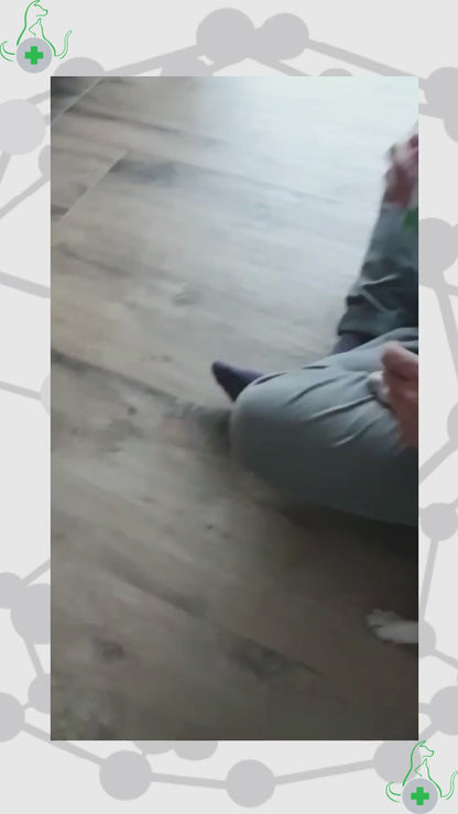 Applicare le Gocce per gli Occhi TraumaPet Opthal Ag con Argento Colloidale NanoComplex