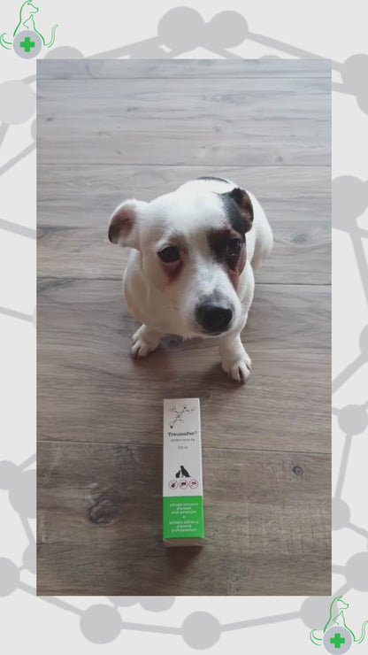 Applicazione di TraumaPet Protect Spray con Argento Colloidale NanoComplex