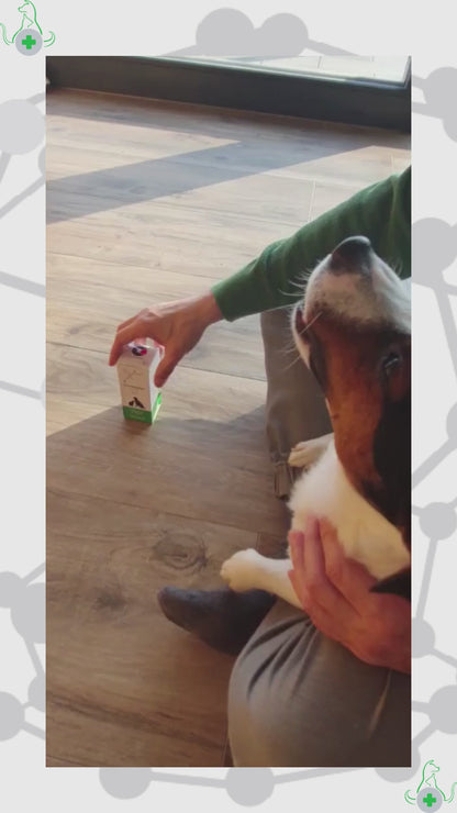 Applicare le gocce per le orecchie TraumaPet Oto Ag con Argento Colloidale NanoComplex