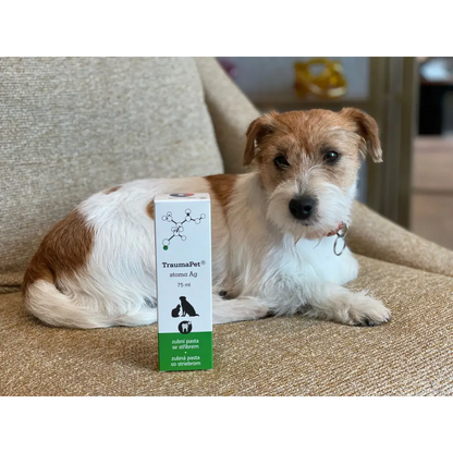 TraumaPet® Ag Cura del Cavo Orale con Argento Colloidale NanoComplex® - Cura del cavo orale